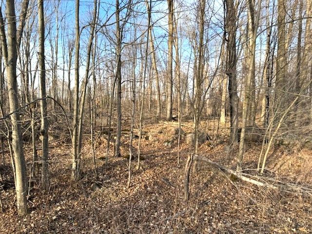 Lot 2 Thorn Apple Dr, Wittenberg, WI 54499