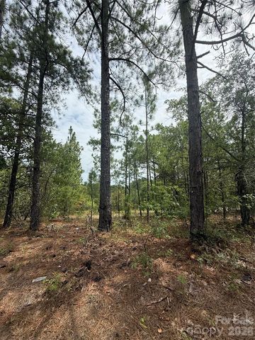 Sheridan Oliver Rd, Ruby, SC 29741