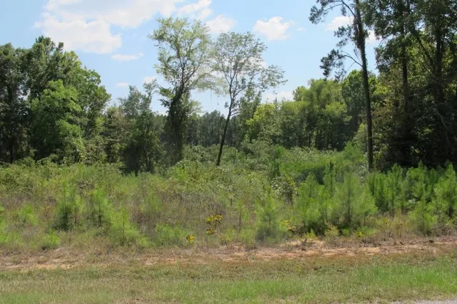 Tbd Section Line Rd, Leesville, LA 71446