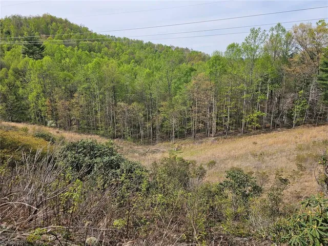 Off N Nc Hwy #16, Millers Creek, NC 28651