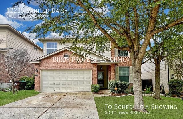 12235 Painted Daisy, San Antonio, TX 78253