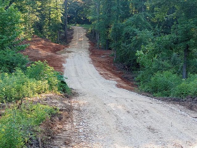 Travis Boyd Rd, Mansfield, TN 38236