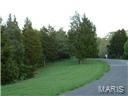 2166 Meadow Forest Dr, Pacific, MO 63069