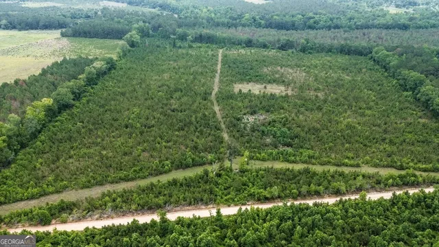 Adams Hammock Rd, Lyons, GA 30436