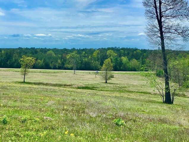 4590 W  US Highway 287, Groveton, TX 75845