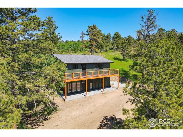 75 Forest Rd, Nederland, CO 80466