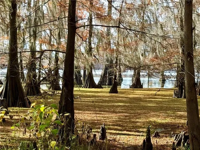 Hardwater Lake Rd #13/14, Pollock, LA 71467