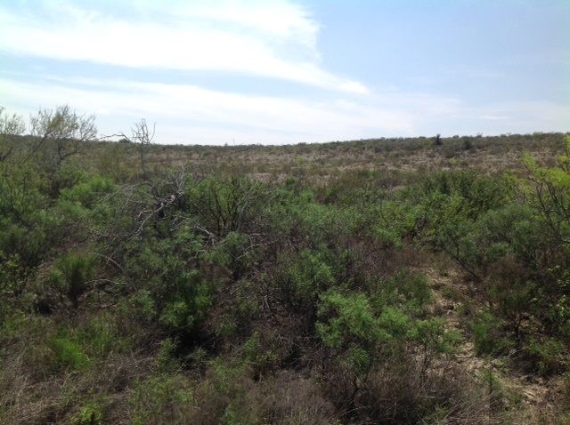 Heritage Canyon Rnch #7 7, Dryden, TX 78851
