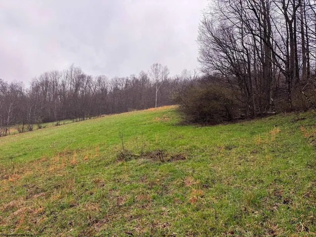 Bear Mountain Rd, Flemington, WV 26347
