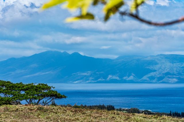 830 Mahana Ridge St #50, Lahaina, HI 96761