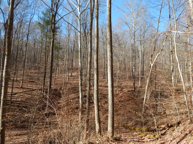 King Knob Run, Harrisville, WV 26362