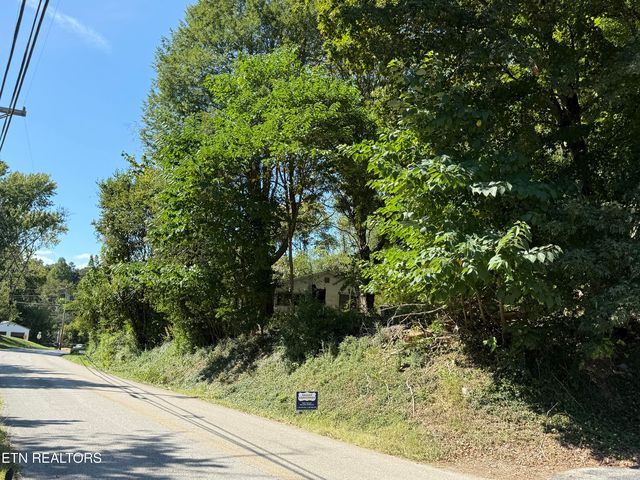 1409 Eureka Rd, Rockwood, TN 37854