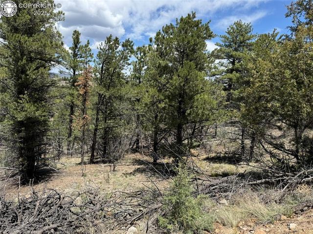 33rd Trl, Cotopaxi, CO 81223