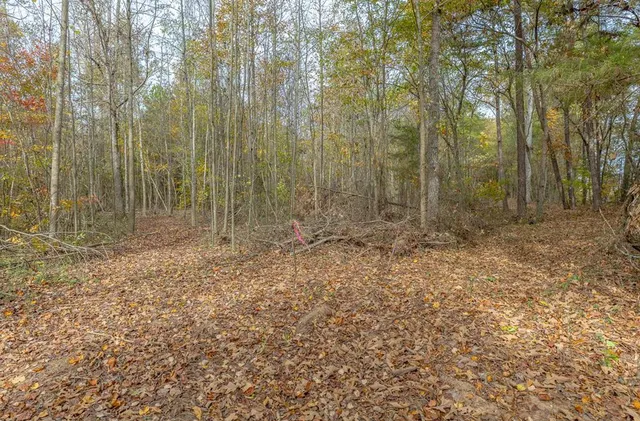 Tract 2 Old Dalton Cleveland Hwy #10, Cohutta, GA 30710