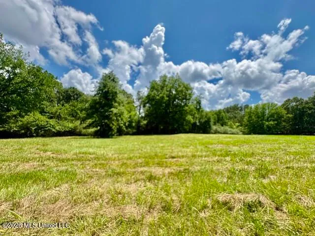 703 Burton Rd, Senatobia, MS 38668