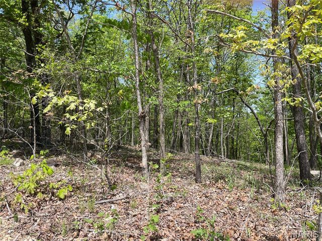 County Road 418, Piedmont, MO 63957