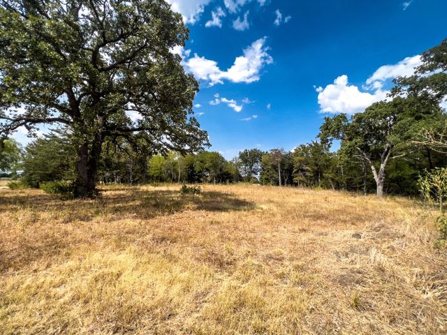 1055 Winding Wood Trl, Scurry, TX 75158