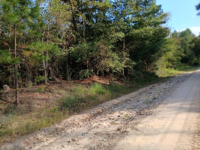111 Bill Jones Rd, Groveton, TX 75845