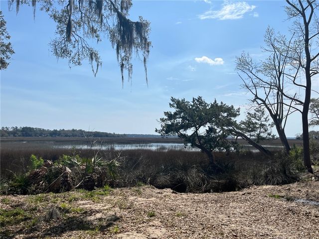 201 Coopers Point Dr, Shellman Bluff, GA 31331