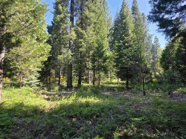 Lot 70 Old Mill Dr, McCloud, CA 96057