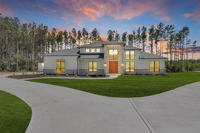 16081 Forest Mill Rd, Willis, TX 77378