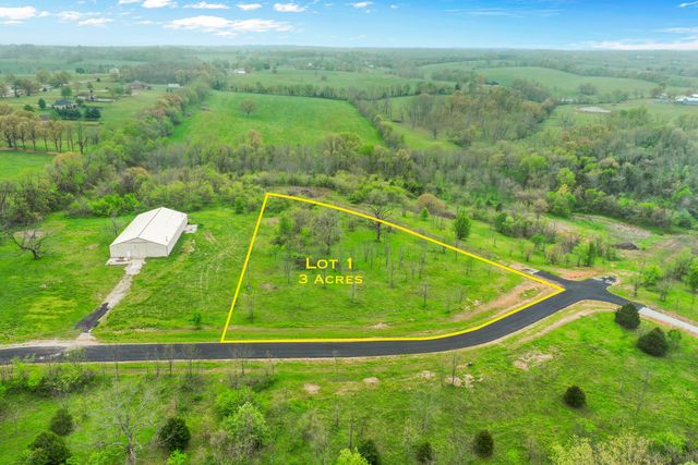 Lot 1 Crystal Valley Rd, Clever, MO 65631
