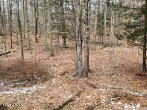 Lot 9 Woodland Ave, Eagles Mere, PA 17731