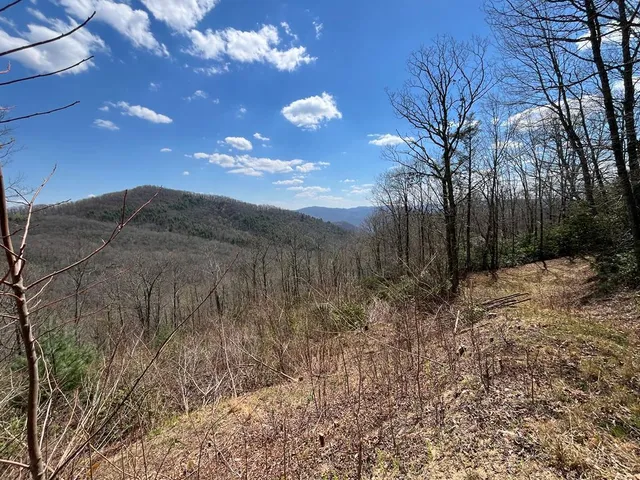 Crisscross Ln #20-21, Tuckasegee, NC 28783