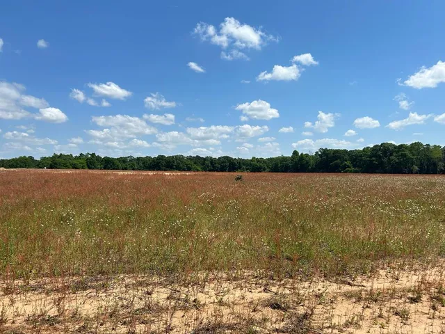 Singletary Rd, Slocomb, AL 36375