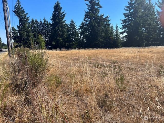 18515 Sargent Road SW, Rochester, WA 98579