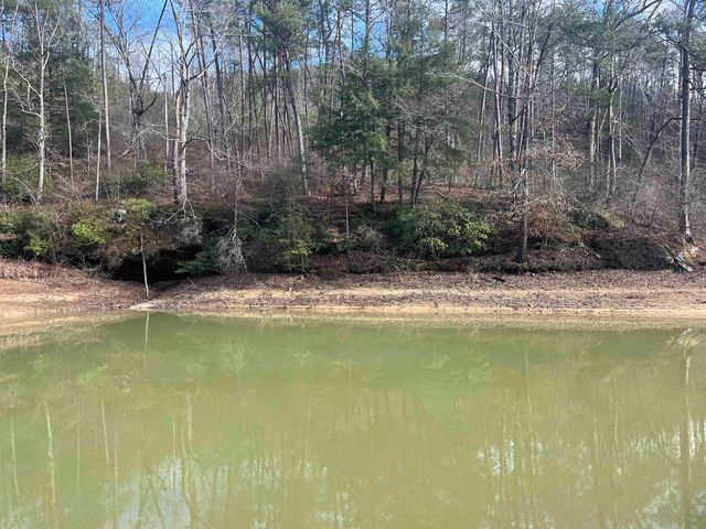 Lot 41 Sipsey Pike, Double Springs, AL 35553