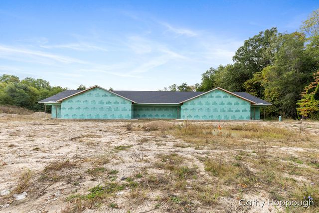 533 E  Washington St #A-B, C D Ionia, MI 48846