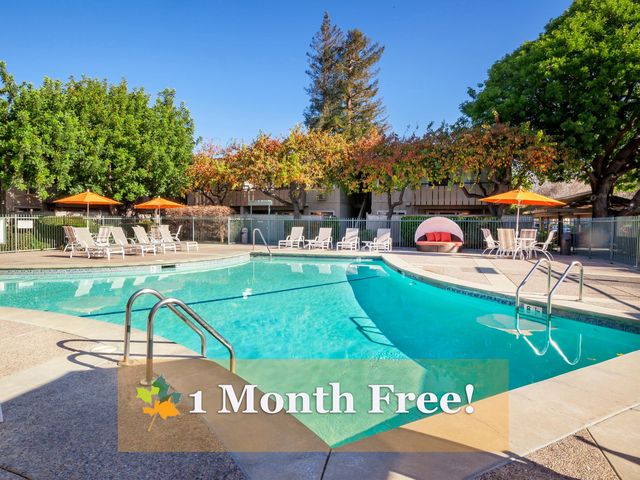 Mountain View Rent Prices