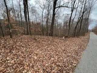 Lakeshore Dr   N  #625, Bumpus Mills, TN 37028