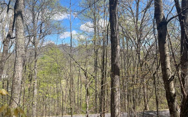 31A Mountain Harbour Dr, Hayesville, NC 28904
