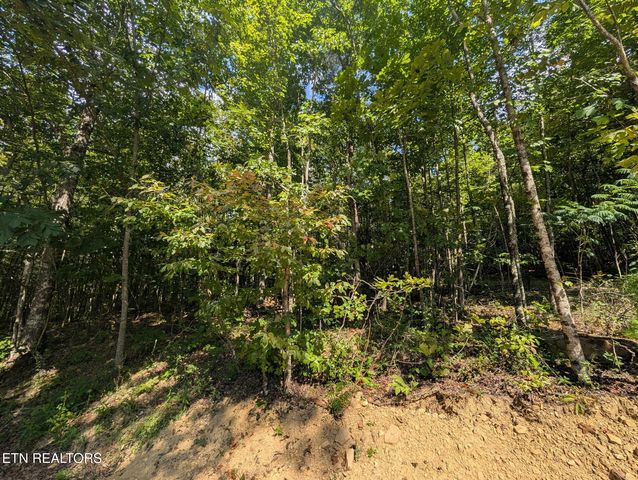 Lookout Dr #63, Crossville, TN 38572
