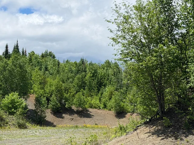 Lot 35 Mountain View Trail, Greenville, ME 04441