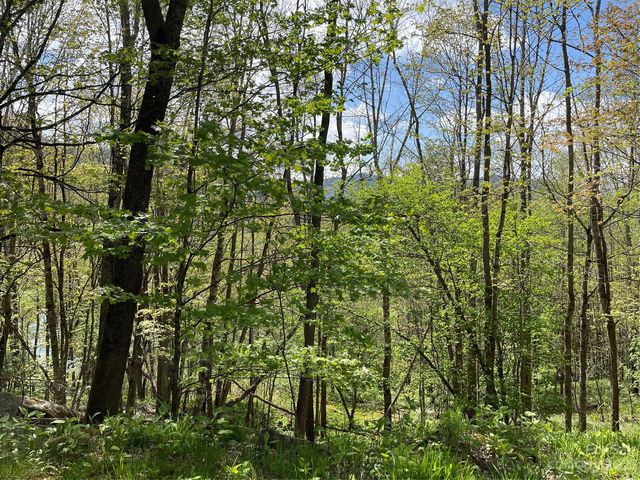 Peregrine Ln #A, Bakersville, NC 28705