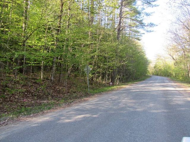 Lot 2 Griffin Rd, Wells, NY 12190