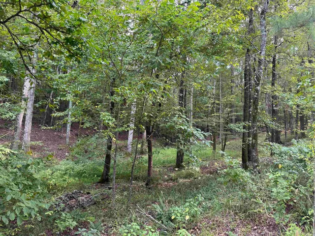 17 Brilliante Cir, Hot Springs Village, AR 71909