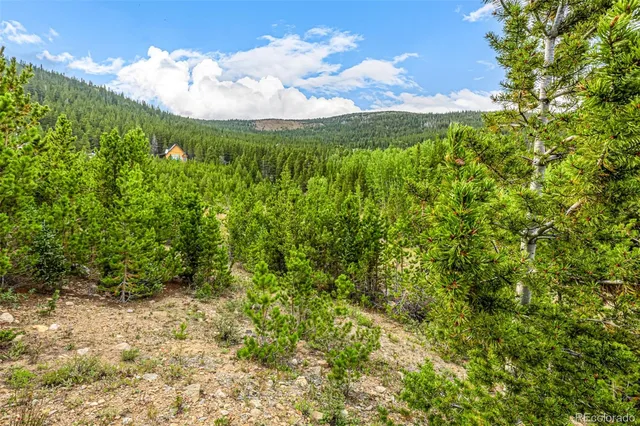 Aspen Road LOT 312, Idaho Springs, CO 80452