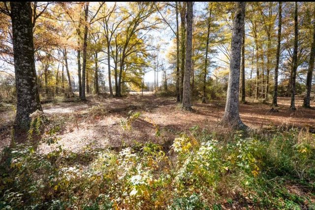 Lot 12 Southern Oaks Rd, Conway, AR 72032