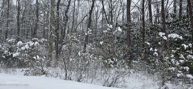 Beechwood Dr, Jim Thorpe, PA 18229