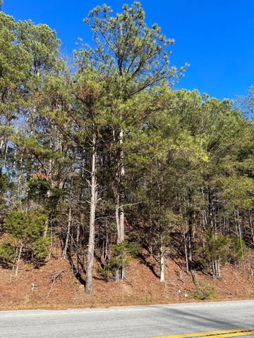 Lot 5 Lower River Rd   NW, Charleston, TN 37310