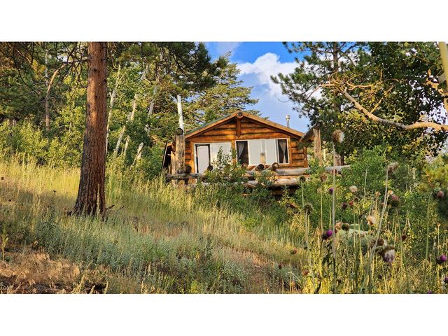 7026 Storm Mountain Dr, Drake, CO 80515