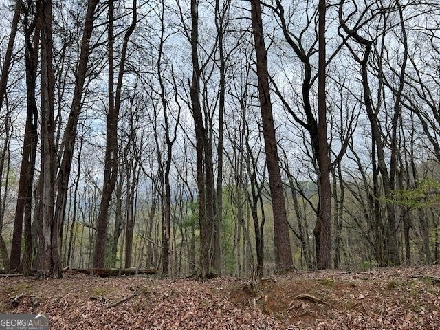 Lot J227 Walnut Mountain Rd E, Ellijay, GA 30536