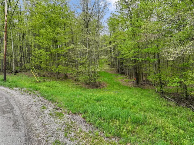 C5 S  Peninsula Dr, Central City, PA 15926