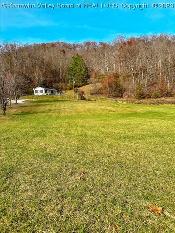 Trace Fork Rd, Chapmanville, WV 25508