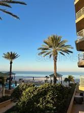 11 San Marco St #405, Clearwater, FL 33767
