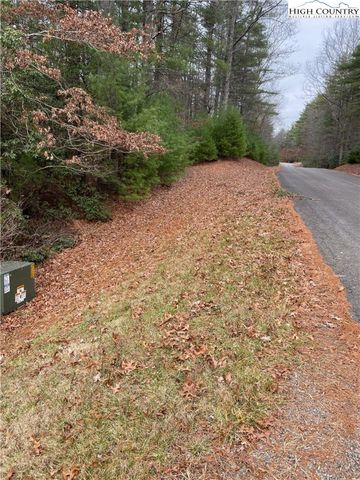 TBD Holly Run / Pine Chase Road, Glade Valley, NC 28627